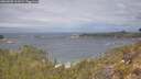 ./images/calvert/foggy-cove/20260509/foggy-cove20260509_112001M.jpg
