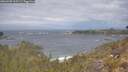 ./images/calvert/foggy-cove/20260509/foggy-cove20260509_112501M.jpg