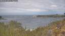 ./images/calvert/foggy-cove/20260509/foggy-cove20260509_113001M.jpg