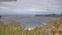 ./images/calvert/foggy-cove/20260509/foggy-cove20260509_113501M.jpg