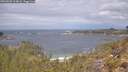 ./images/calvert/foggy-cove/20260509/foggy-cove20260509_114001M.jpg