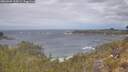 ./images/calvert/foggy-cove/20260509/foggy-cove20260509_114501M.jpg