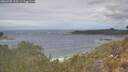 ./images/calvert/foggy-cove/20260509/foggy-cove20260509_115501M.jpg