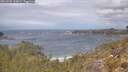 ./images/calvert/foggy-cove/20260509/foggy-cove20260509_120001M.jpg