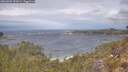 ./images/calvert/foggy-cove/20260509/foggy-cove20260509_121001M.jpg
