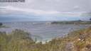 ./images/calvert/foggy-cove/20260509/foggy-cove20260509_122001M.jpg