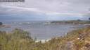 ./images/calvert/foggy-cove/20260509/foggy-cove20260509_122501M.jpg