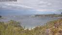 ./images/calvert/foggy-cove/20260509/foggy-cove20260509_123001M.jpg