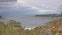 ./images/calvert/foggy-cove/20260509/foggy-cove20260509_123501M.jpg