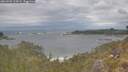 ./images/calvert/foggy-cove/20260509/foggy-cove20260509_124501M.jpg