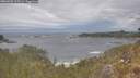 ./images/calvert/foggy-cove/20260509/foggy-cove20260509_125501M.jpg