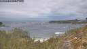 ./images/calvert/foggy-cove/20260509/foggy-cove20260509_130001M.jpg