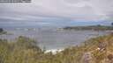 ./images/calvert/foggy-cove/20260509/foggy-cove20260509_132001M.jpg
