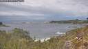 ./images/calvert/foggy-cove/20260509/foggy-cove20260509_132501M.jpg