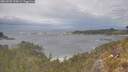 ./images/calvert/foggy-cove/20260509/foggy-cove20260509_133001M.jpg