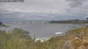 ./images/calvert/foggy-cove/20260509/foggy-cove20260509_134001M.jpg