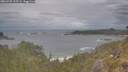 ./images/calvert/foggy-cove/20260509/foggy-cove20260509_135501M.jpg