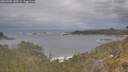 ./images/calvert/foggy-cove/20260509/foggy-cove20260509_140501M.jpg