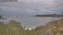 ./images/calvert/foggy-cove/20260509/foggy-cove20260509_143001M.jpg