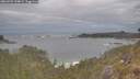 ./images/calvert/foggy-cove/20260509/foggy-cove20260509_144001M.jpg