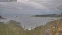 ./images/calvert/foggy-cove/20260509/foggy-cove20260509_150001M.jpg