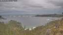 ./images/calvert/foggy-cove/20260509/foggy-cove20260509_152502M.jpg