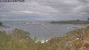 ./images/calvert/foggy-cove/20260509/foggy-cove20260509_153001M.jpg