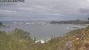 ./images/calvert/foggy-cove/20260509/foggy-cove20260509_154001M.jpg
