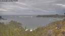 ./images/calvert/foggy-cove/20260509/foggy-cove20260509_160001M.jpg