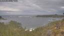 ./images/calvert/foggy-cove/20260509/foggy-cove20260509_160501M.jpg