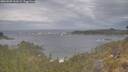 ./images/calvert/foggy-cove/20260509/foggy-cove20260509_161001M.jpg