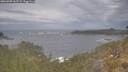 ./images/calvert/foggy-cove/20260509/foggy-cove20260509_161502M.jpg