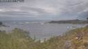 ./images/calvert/foggy-cove/20260509/foggy-cove20260509_162001M.jpg