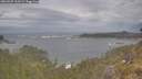 ./images/calvert/foggy-cove/20260509/foggy-cove20260509_162501M.jpg