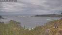 ./images/calvert/foggy-cove/20260509/foggy-cove20260509_163001M.jpg