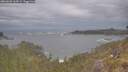 ./images/calvert/foggy-cove/20260509/foggy-cove20260509_164502M.jpg