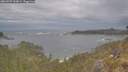 ./images/calvert/foggy-cove/20260509/foggy-cove20260509_165001M.jpg
