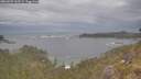 ./images/calvert/foggy-cove/20260509/foggy-cove20260509_165502M.jpg