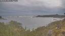./images/calvert/foggy-cove/20260509/foggy-cove20260509_172001M.jpg