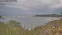 ./images/calvert/foggy-cove/20260509/foggy-cove20260509_172501M.jpg