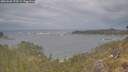 ./images/calvert/foggy-cove/20260509/foggy-cove20260509_173501M.jpg