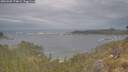 ./images/calvert/foggy-cove/20260509/foggy-cove20260509_174001M.jpg