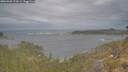 ./images/calvert/foggy-cove/20260509/foggy-cove20260509_174501M.jpg