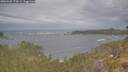 ./images/calvert/foggy-cove/20260509/foggy-cove20260509_175001M.jpg