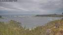 ./images/calvert/foggy-cove/20260509/foggy-cove20260509_175501M.jpg