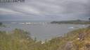 ./images/calvert/foggy-cove/20260509/foggy-cove20260509_180001M.jpg