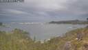 ./images/calvert/foggy-cove/20260509/foggy-cove20260509_181001M.jpg