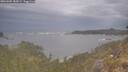 ./images/calvert/foggy-cove/20260509/foggy-cove20260509_185001M.jpg