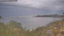 ./images/calvert/foggy-cove/20260509/foggy-cove20260509_185501M.jpg