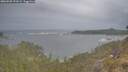 ./images/calvert/foggy-cove/20260509/foggy-cove20260509_193501M.jpg